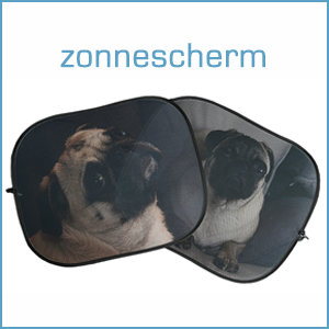 zonnescherm auto
